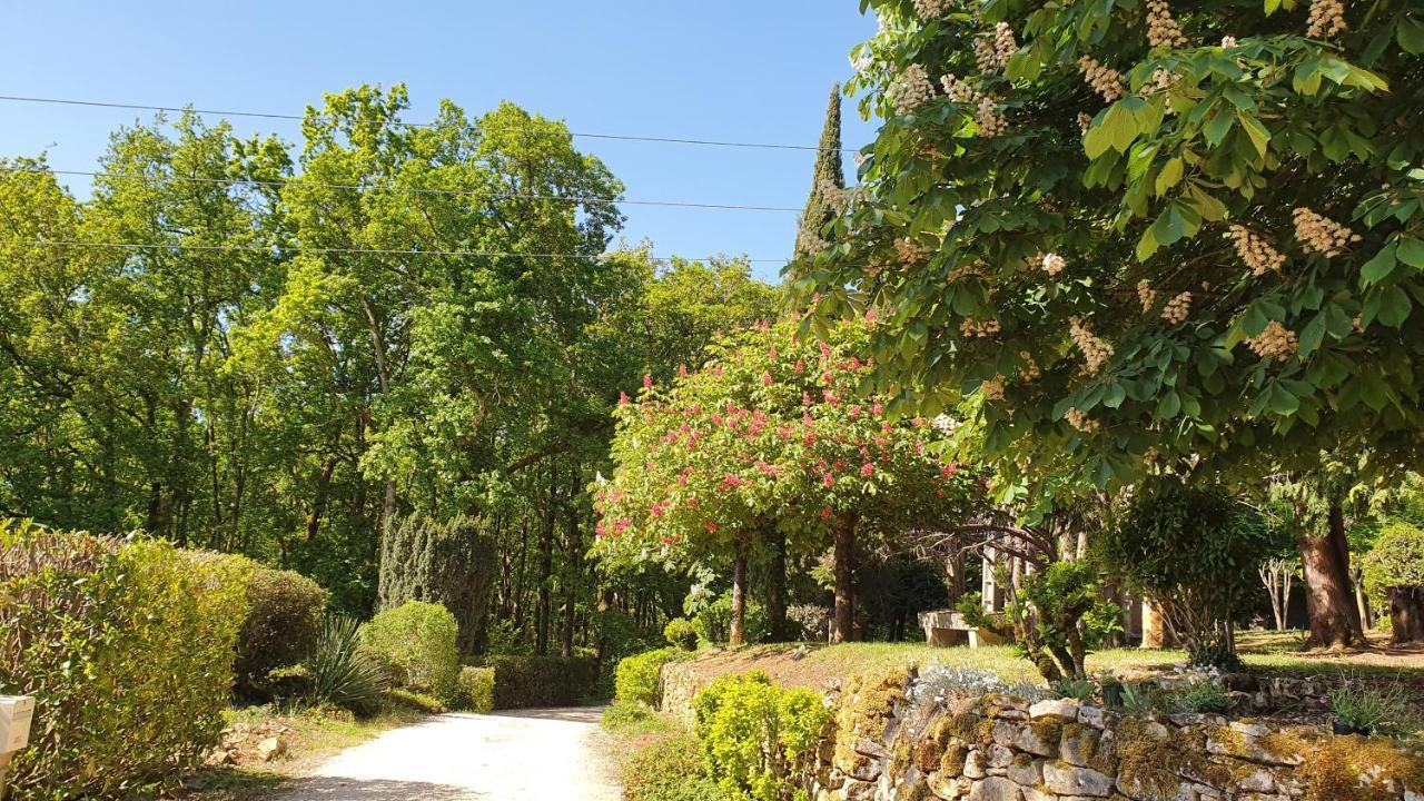 فندق Domaine Du Cardou Puy-lʼÉvêque المظهر الخارجي الصورة