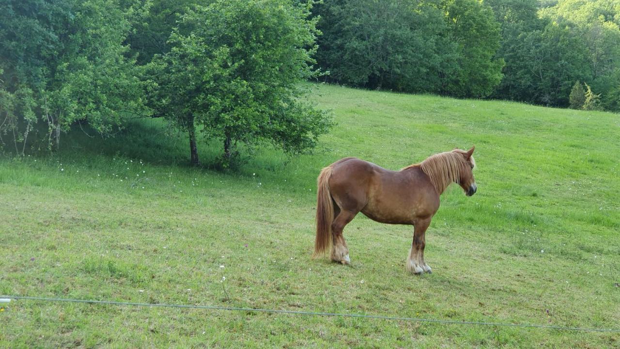 فندق Domaine Du Cardou Puy-lʼÉvêque المظهر الخارجي الصورة