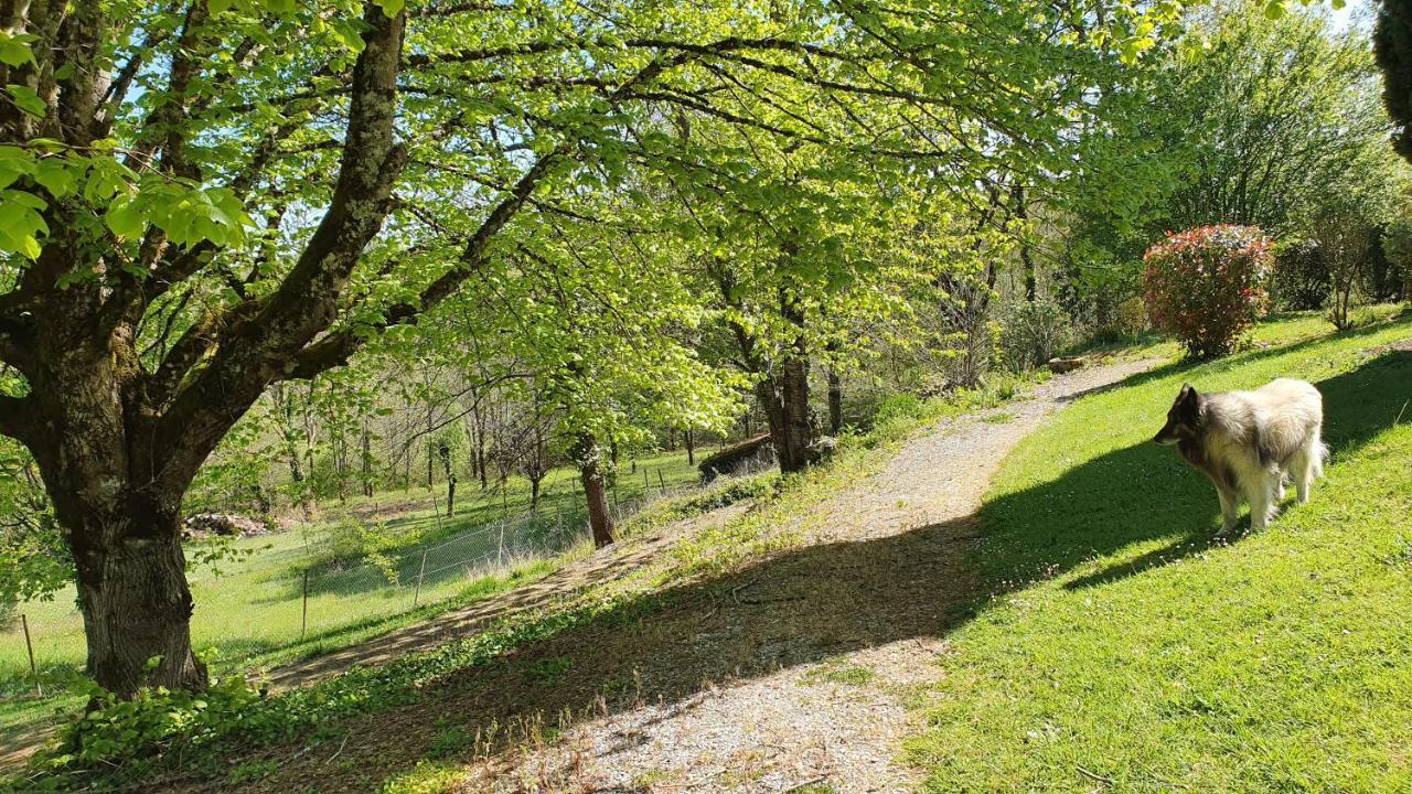 فندق Domaine Du Cardou Puy-lʼÉvêque المظهر الخارجي الصورة